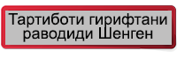 iDATA